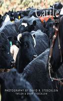 2020 Cattle Calendar