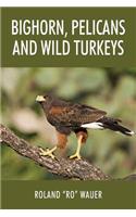 Bighorn, Pelicans and Wild Turkeys