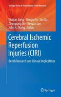 Cerebral Ischemic Reperfusion Injuries (CIRI)