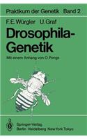 Drosophila-Genetik