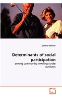 Determinants of social participation