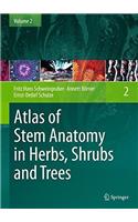 Atlas of Stem Anatomy in Herbs, Shrubs and Trees