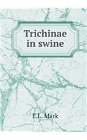Trichinae in swine: (English)