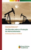 Um Revisão sobre a Produção de Hidrocarbonetos