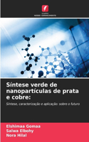 Síntese verde de nanopartículas de prata e cobre