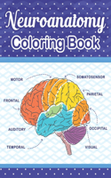Neuroanatomy Coloring Book