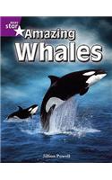 Rigby Star Independent Year 2 Purple Non Fiction: Amazing Whales Single: (STAR INDEPENDENT)
