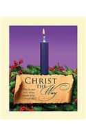Advent Purple Sunday 1 Bulletin 2011, Large (Package of 50): (English)