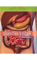 Digestive System