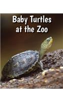Baby Turtles at the Zoo