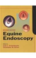Equine Endoscopy