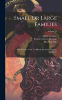 Small Or Large Families