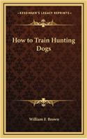 How to Train Hunting Dogs