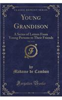 Young Grandison, Vol. 1 of 2: A Series of Letters from Young Persons to Their Friends (Classic Reprint)