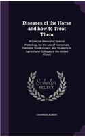 Diseases of the Horse and how to Treat Them