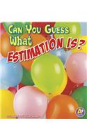 Fun with Numbers Can You Guess What Estimation is?