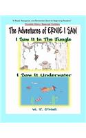The Adventures of Ernie I Saw