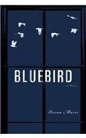 Bluebird