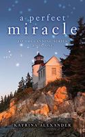 Perfect Miracle