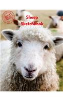 Sheep Sketchbook: Blank Paper for Drawing, Doodling or Sketching 120 Large Blank Pages (8.5"x11") for Sketching, inspiring, Drawing Anything Kids Love to do and to Im