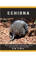 Echidna