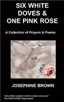 Six White Doves & One Pink Rose: (English)