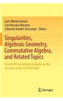 Singularities, Algebraic Geometry, Commutative Algebra, and Related Topics