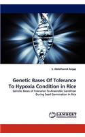 Genetic Bases Of Tolerance To Hypoxia Condition in Rice