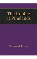 The trouble at Pinelands