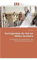 Sociogenèse Du Soi En Milieu Scolaire