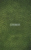 Cosmos