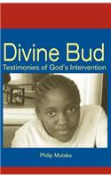 Divine Bud