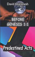 Before Genesis 1