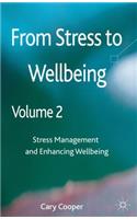 From Stress to Wellbeing, Volume 2