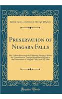 Preservation of Niagara Falls: Mr. Cullom Presented the Following Hearings Before the Committee on Foreign Relations in Regard to the Preservation of Niagara Falls; April 21, 1906 (Classic Reprint)