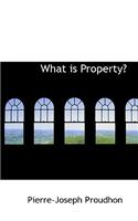 What Is Property?