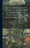 Flowering Plants, Grasses, Sedges, & Ferns of Great Britain and Their Allies, the Club Mosses, Horsetails, Etc