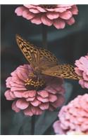 Butterfly Floral Notebook: For Her