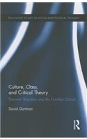 Culture, Class, and Critical Theory