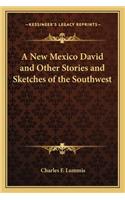 New Mexico David and Other Stories and Sketches of the Southwest