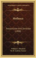 Mollusca