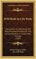 Wild Birds In City Parks