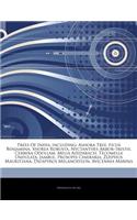 Articles on Trees of India, Including: Ashoka Tree, Ficus Benjamina, Shorea Robusta, Nyctanthes Arbor-Tristis, Cerbera Odollam, Melia Azedarach, Tecomella Undulata, Jambul, Prosopis Ciner
