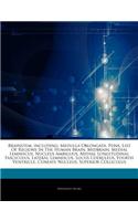 Articles on Brainstem, Including: Medulla Oblongata, Pons, List of Regions in the Human Brain, Midbrain, Medial Lemniscus, Nucleus Ambiguus, Medial Lo