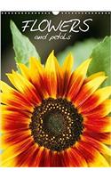Flowers and Petals 2018