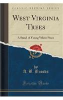 West Virginia Trees: A Stand of Young White Pines (Classic Reprint)