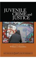 Juvenile Crime and Justice