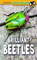 Brilliant Beetles