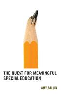 The Quest for Meaningful Special Education