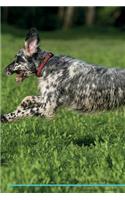 English Setter Affirmations Workbook English Setter Presents: Positive and Loving Affirmations Workbook. Includes: Mentoring Questions, Guidance, Supporting You.